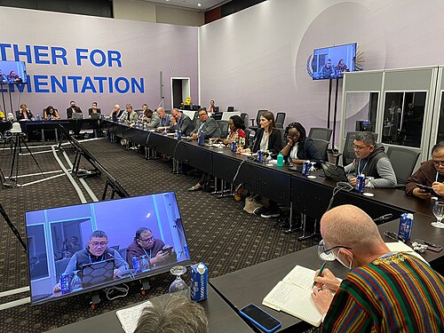 UN Framework Convention on Climate Change